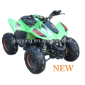 ATV QUAD ATV QUADRICICLO 110CC BARATOS PARA VENDA HX110N